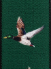 711 Ente grün