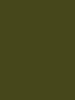 53 loden