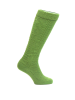 37 erbse
