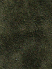 25 oliv