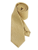 22 camel