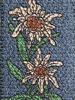 9007 EW jeans