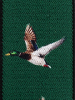 711 Ente grün