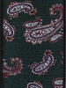 873 PaisleyTann