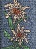 9007 EW jeans